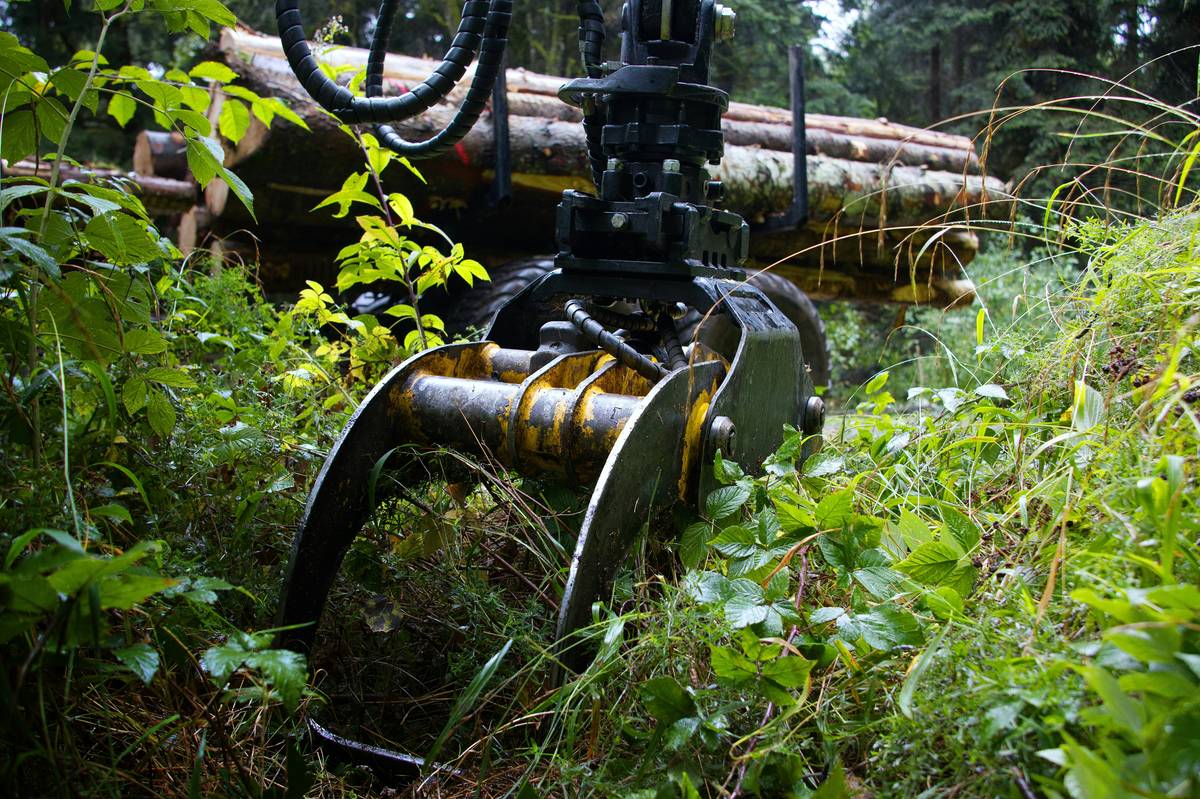 Comparison table between different types of climbing harnesses