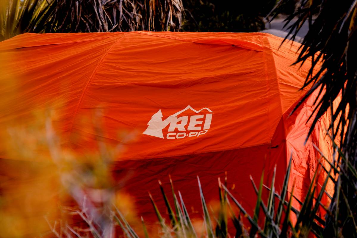 Is Your Body Lock Harness Discount Helping You Lose Weight? Surprising Truths Inside!