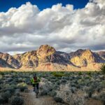 Secure Climb Harness Trusted Brands: How to Choose the Best for Weight Loss Adventures