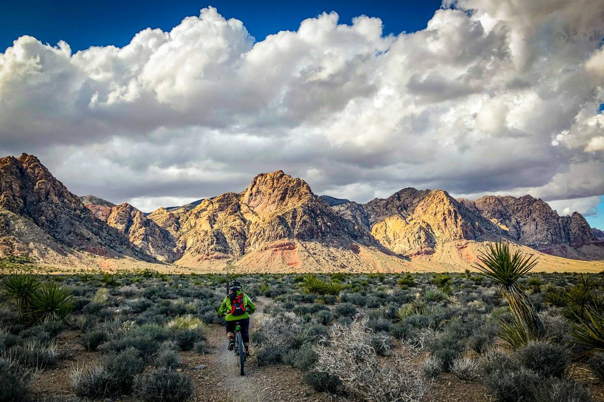 Secure Climb Harness Trusted Brands: How to Choose the Best for Weight Loss Adventures